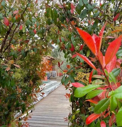 B&B Casa Santa Lucia 보코냐노